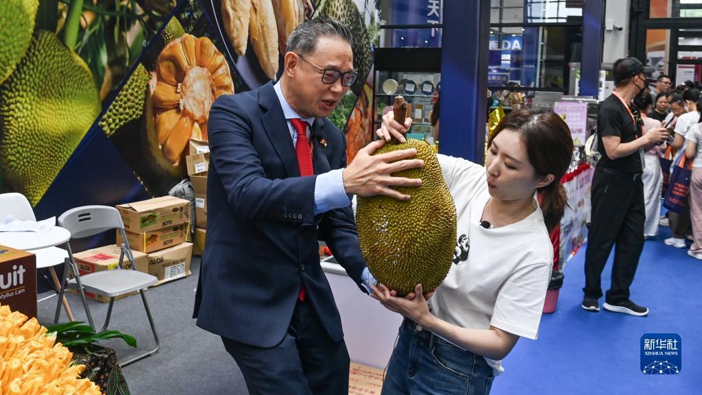 九洲娱乐网